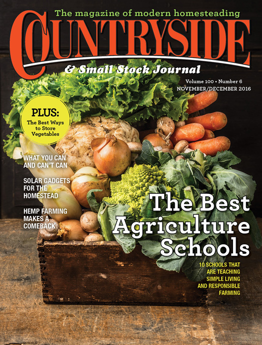 Countryside November/December 2016